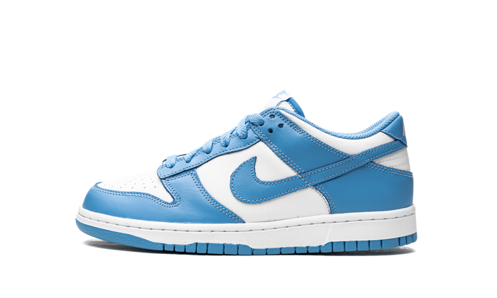 Nike Dunk Low UNC